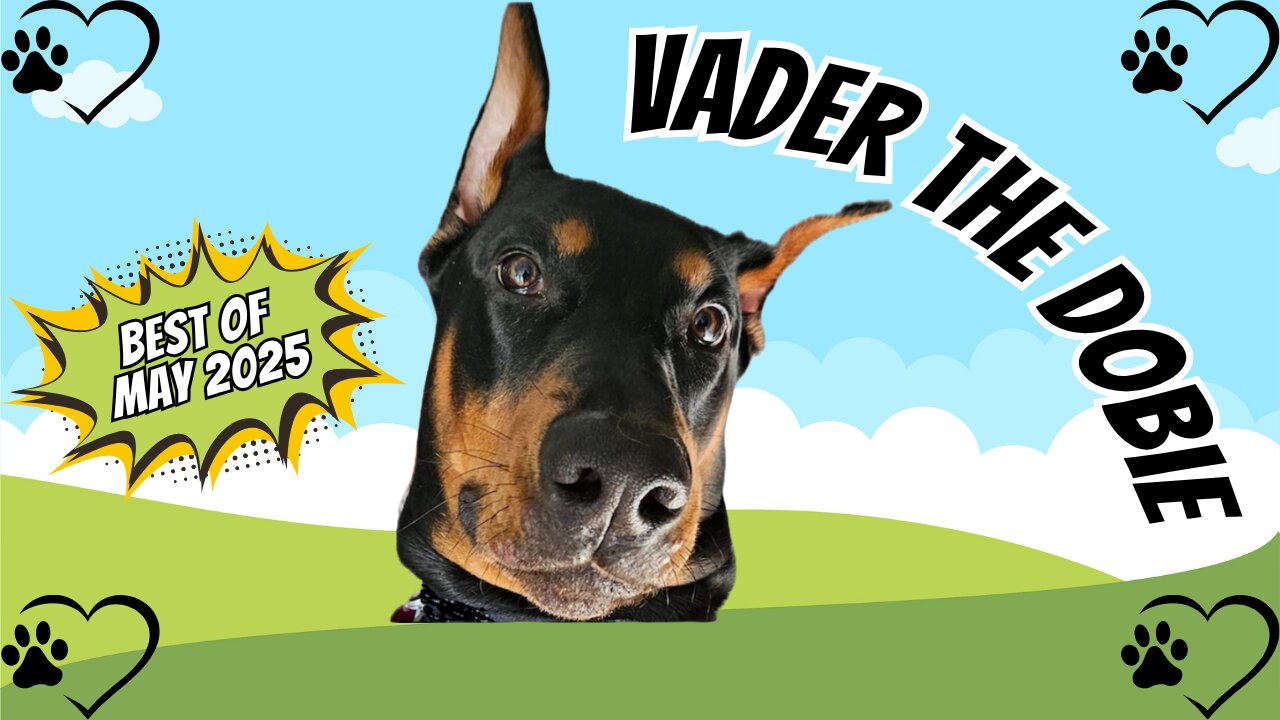 The Best of Vader the Dobie: May 2025 Edition