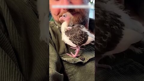 The man hadnt looked in the mailbox for a long time and found a surprise there