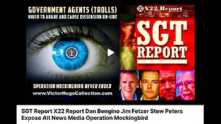 SGT Report X22 Report Dan Bongino Jim Fetzer Stew Peters Alt News Media Operation Mockingbird