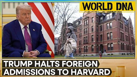 US Government Revokes Harvard's Right To Enroll Foreign Students | World News | World DNA