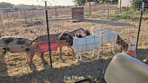 Graham Family Farm NW: 5:45 AM September 21 2025