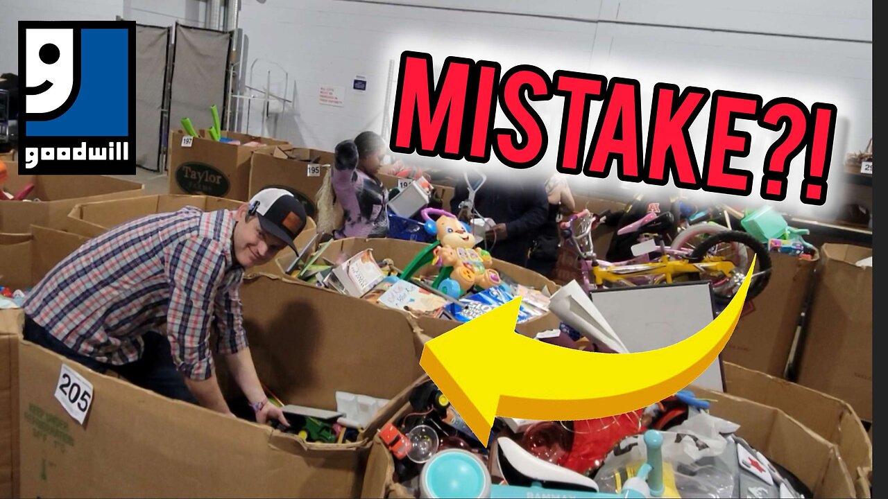 Was This A HUGE Mistake!? Goodwill Auction!