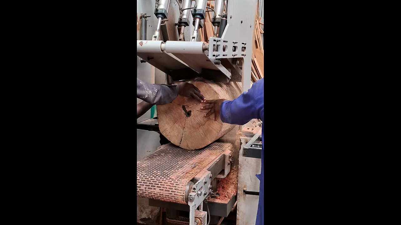 How To Cut Logs With The Large Bandsaw