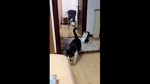 Who is faster?