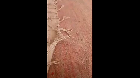 satisfying Video