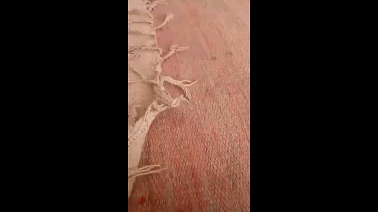 satisfying Video