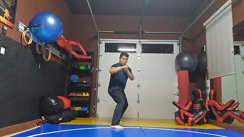 WTD 2 Step Kick Combination 174