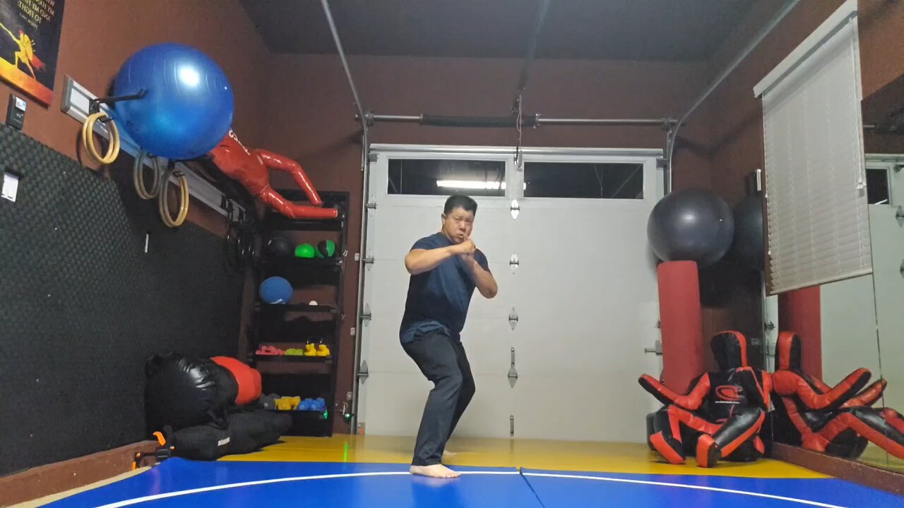 WTD 2 Step Kick Combination 174