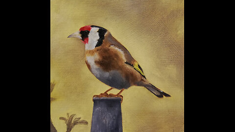 Painting a Goldfinch