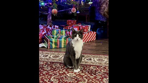 Episode 3052 CWSA 12/24/25