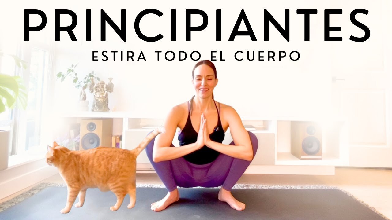 Beginner Yoga Class | 5 Minutes | Yoga Poses to Stretch Your Entire Body