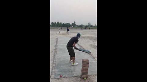 cricket hitting