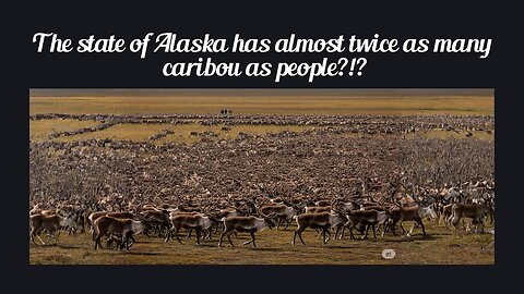 Fun Fact for May 25th 2025 Pt 2