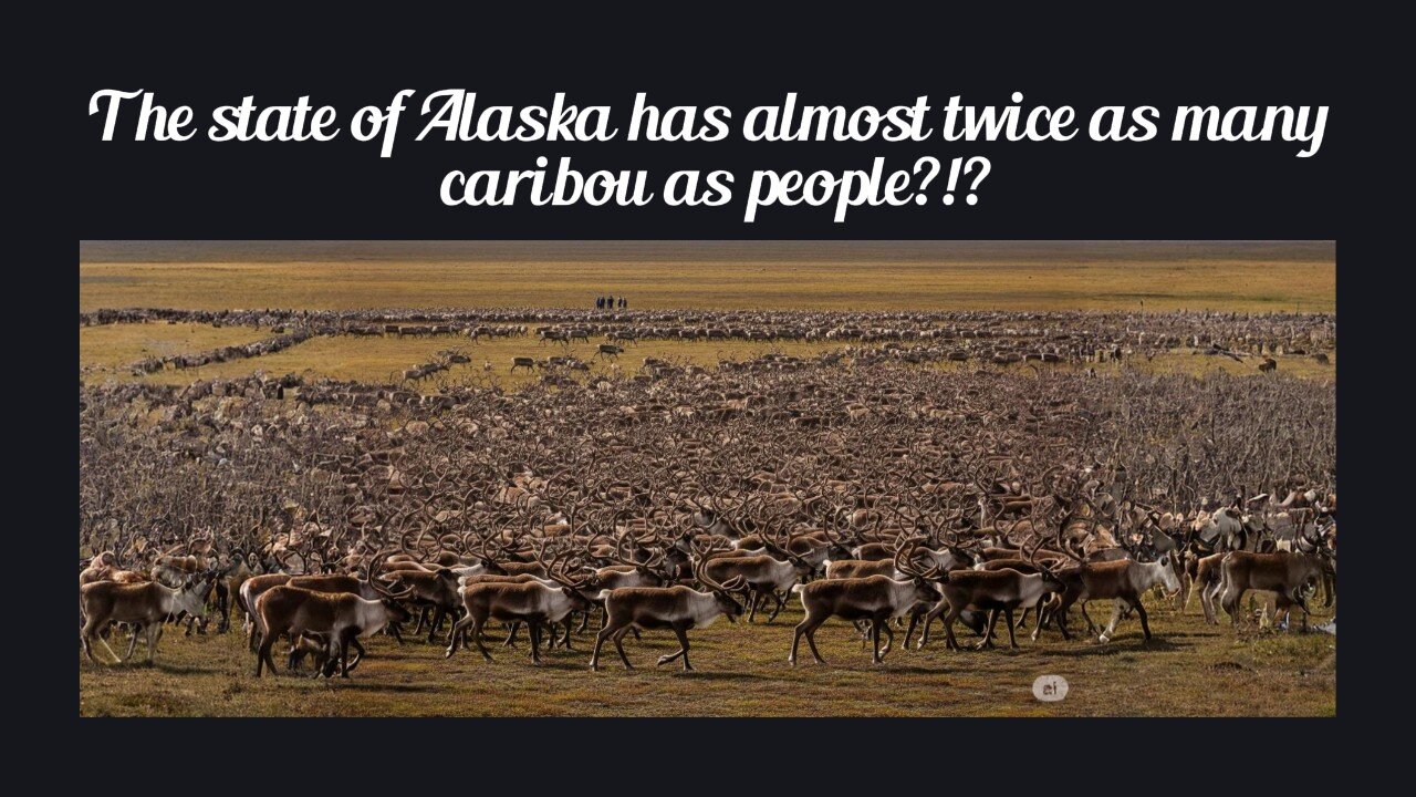 Fun Fact for May 25th 2025 Pt 2