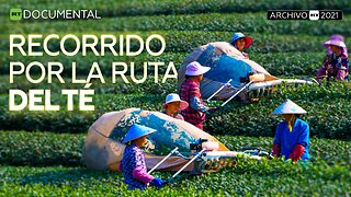 Recorrido por la ruta del té - Documental RT (Archivo RT 2021)