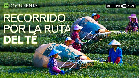 Recorrido por la ruta del té - Documental RT (Archivo RT 2021)