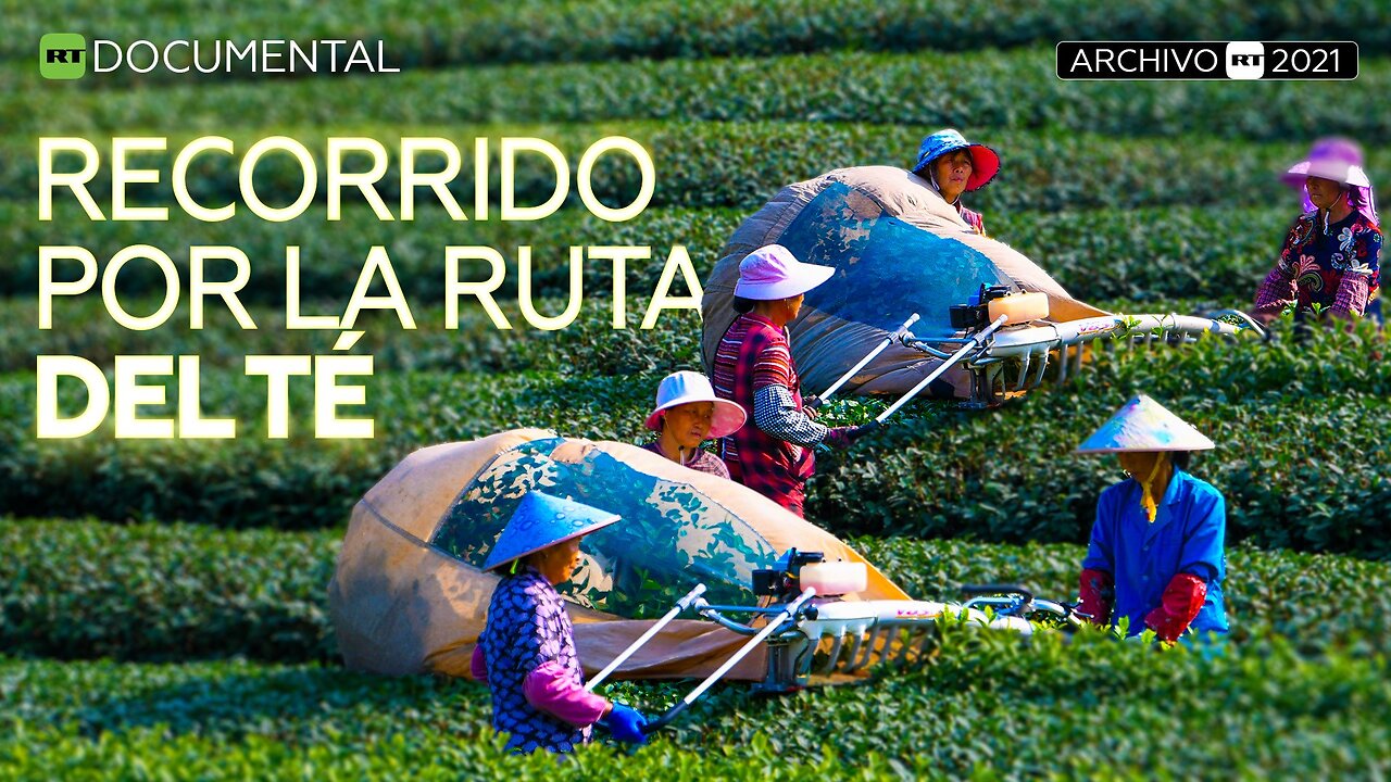 Recorrido por la ruta del té - Documental RT (Archivo RT 2021)
