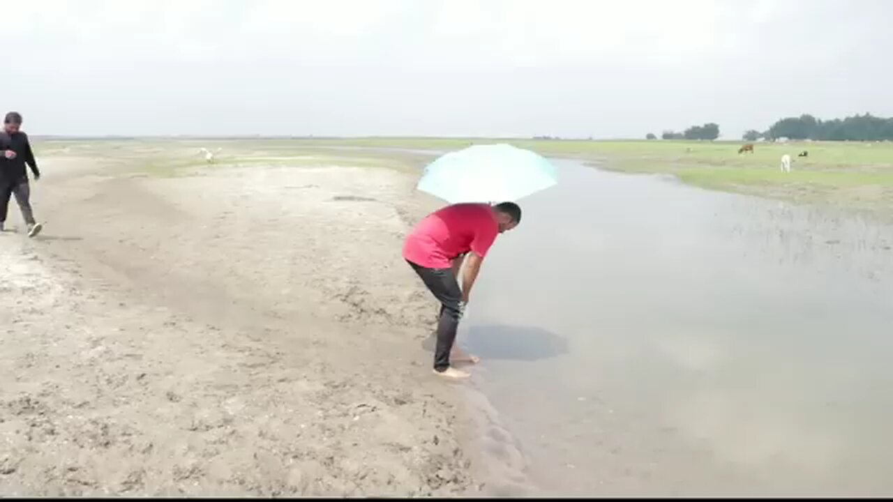 funny comedy