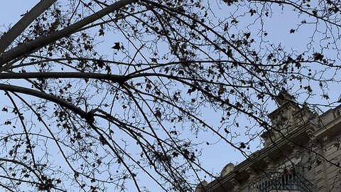 Edificio Barcelona 70