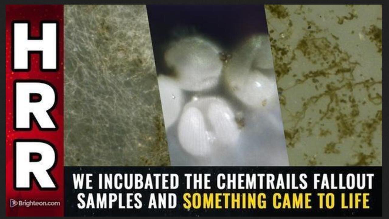 WE INCUBATED CHEMTRAIL FALLOUT, EGGS HATCHED & SOMETHING "CAME TO LIFE" ~ 4/17/25 Mike Adams