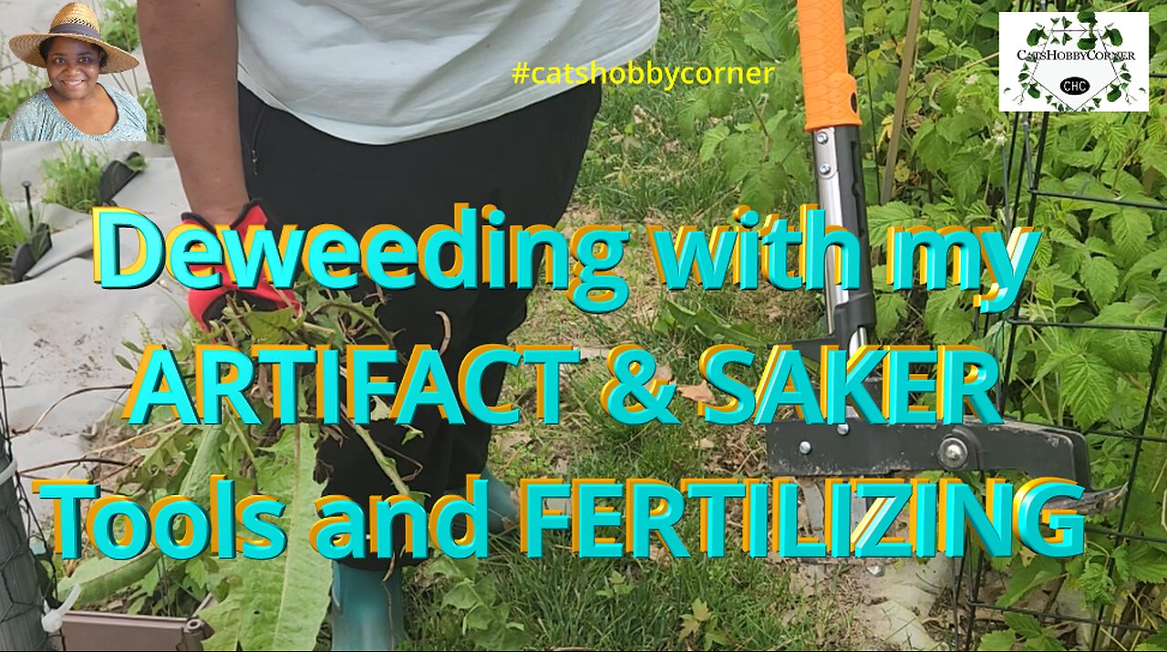 De-weeding with my Artifact & Saker with some Fertilizing - #catshobbycorner #gardening