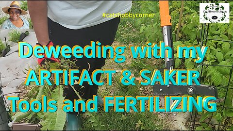 De-weeding with my Artifact & Saker with some Fertilizing - #catshobbycorner #gardening