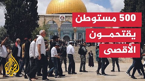 بمناسبة _عيد الأسابيع___ مستوطنون يقتحمون باحات المسجد الأقصى المبارك