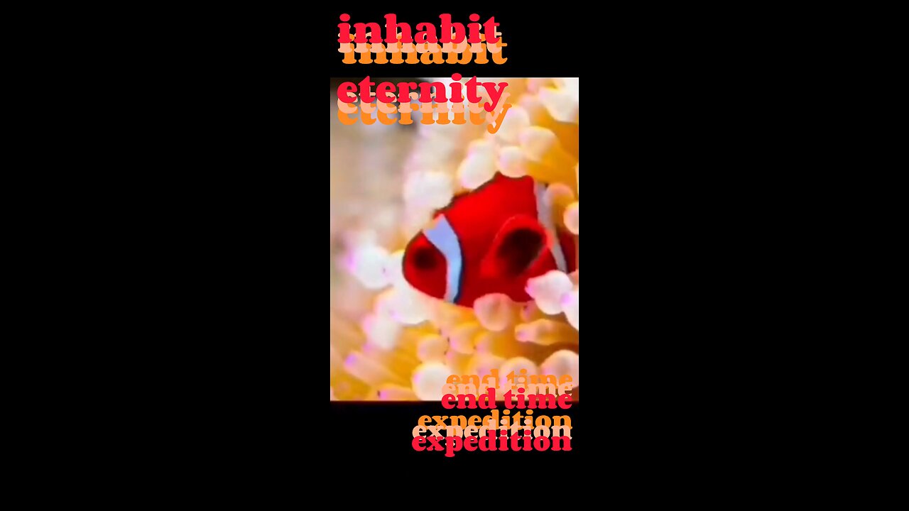 inhabit eternity - end time expedition