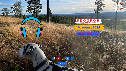 Skogpod 10. august 2025