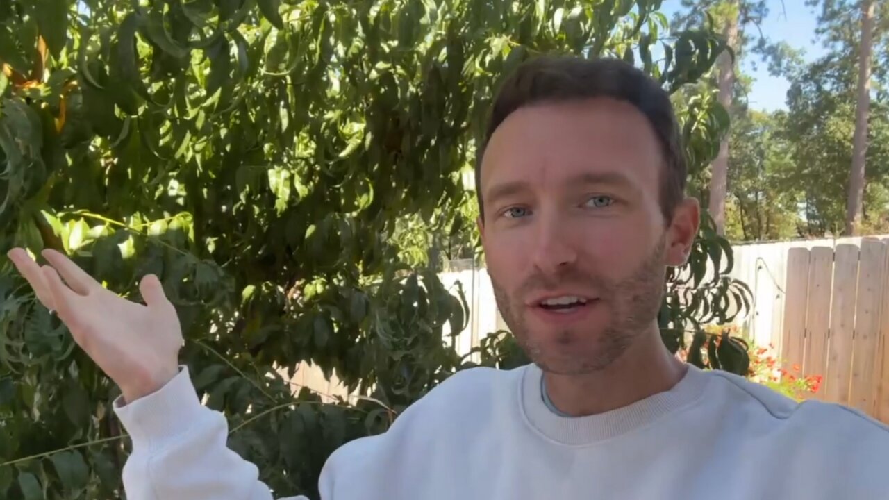XRP, XLM, Lamborghinis and Ferraris