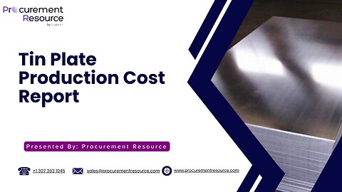 Tin Plate Production Cost Analysis Report