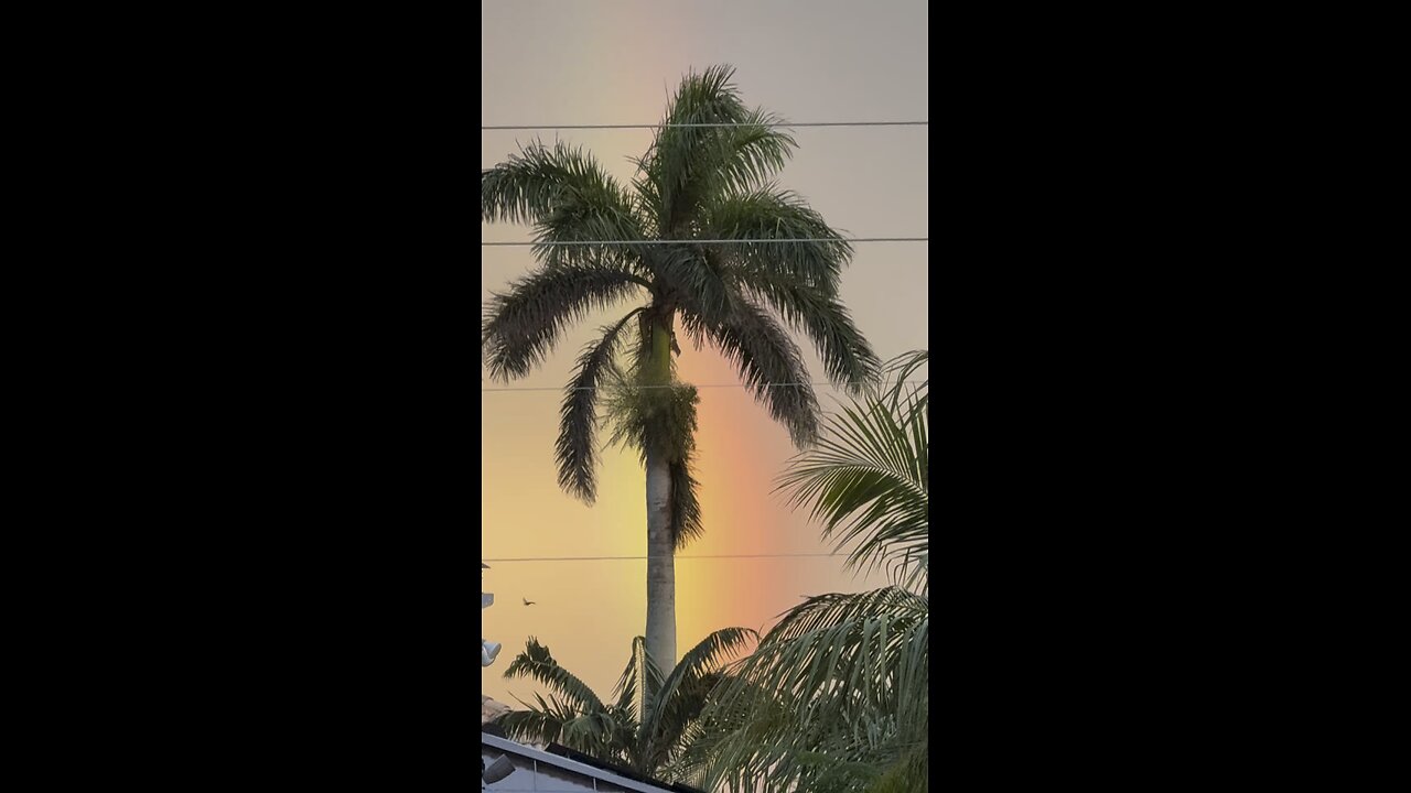 Sunset Rainbow! | 4K