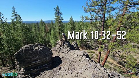 Mark 10:32-52, Bible Reading in Nature, BSB