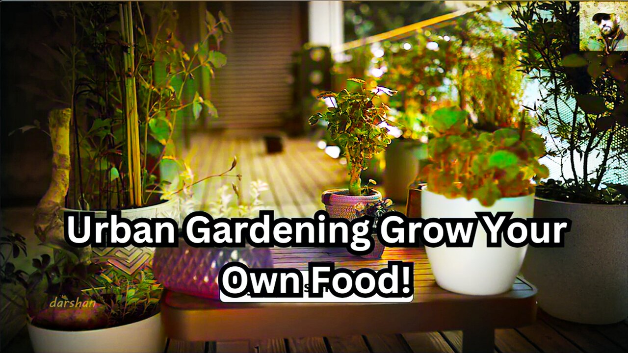 Urban Gardening Grow Your Own Food!