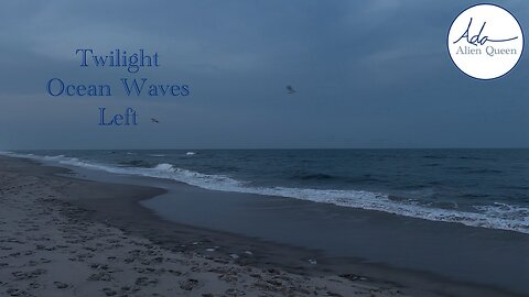Ada Alien Queen • Earth Heart Beats • Take #00017 • Twilight Ocean Waves Left