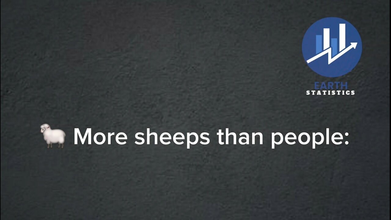 More sheeps than people