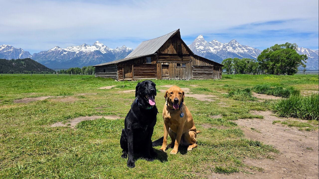 Pinedale & Jackson Wyoming