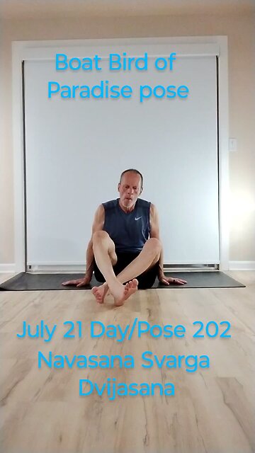 Navasana Svarga Dvijasana / Boat Bird of Paradise pose