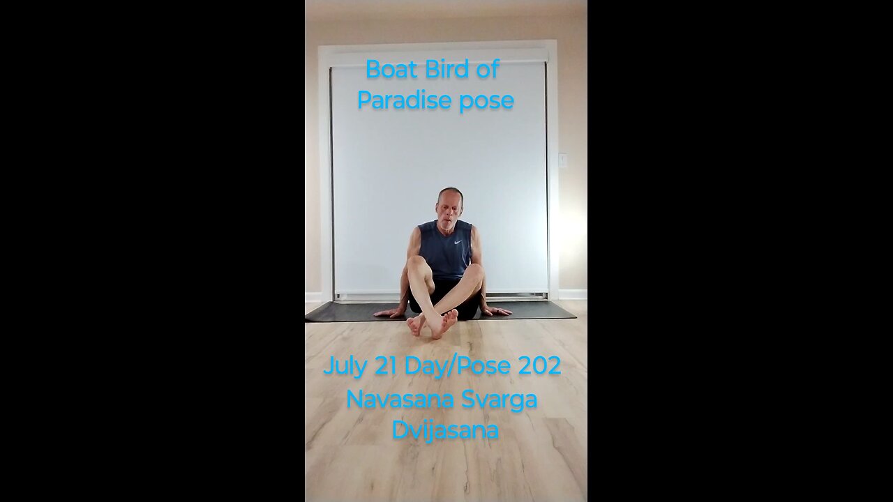 Navasana Svarga Dvijasana / Boat Bird of Paradise pose