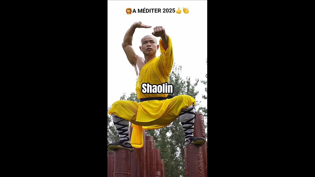 Shaolin or slave ?