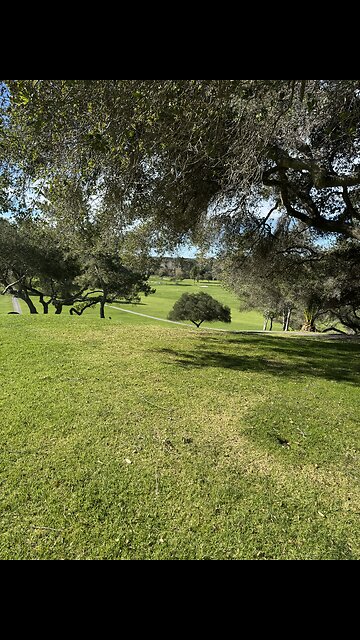 Magnificent day at the course