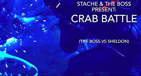 Crab Battle