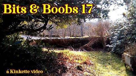 Bits & Boobs 17