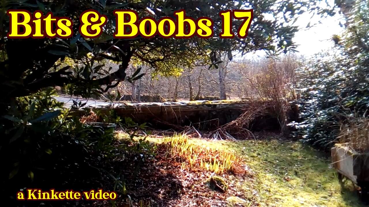 Bits & Boobs 17