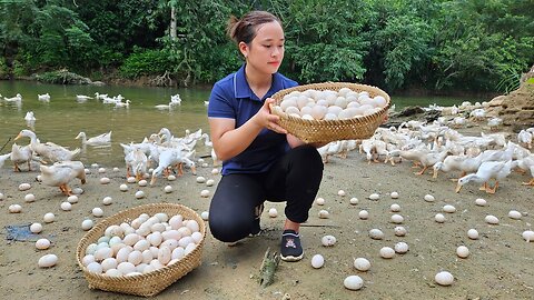 Harvest Duck Eggs Goes to the market sell - Cooking