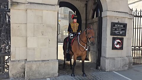 King's guard