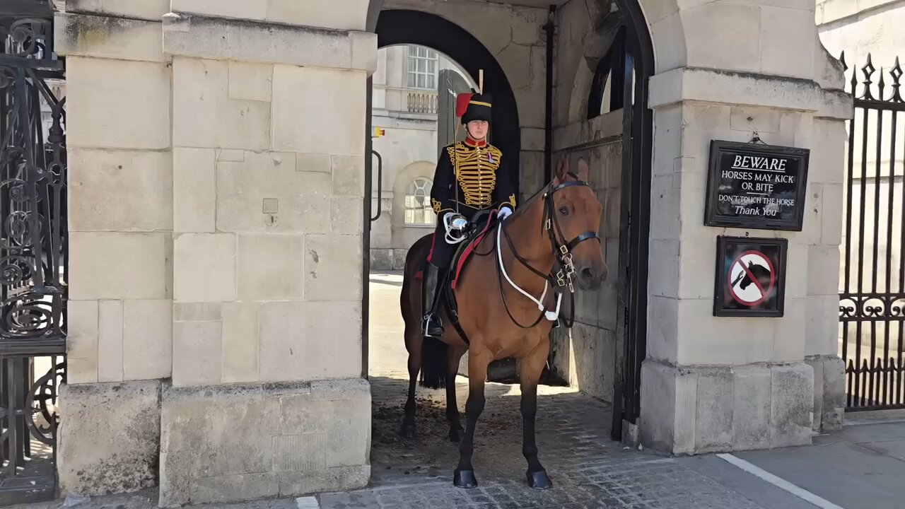 King's guard