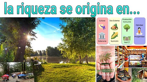 La riqueza se origina en...
