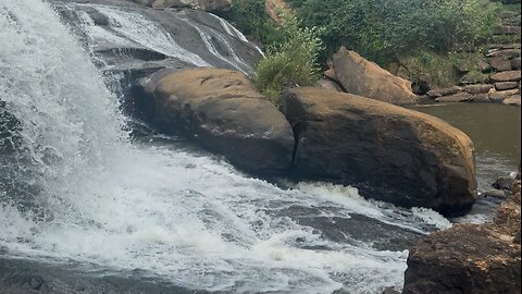 Relaxing nature stream