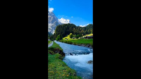 Beauty of Nature